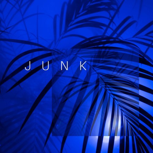 Junk cover art
