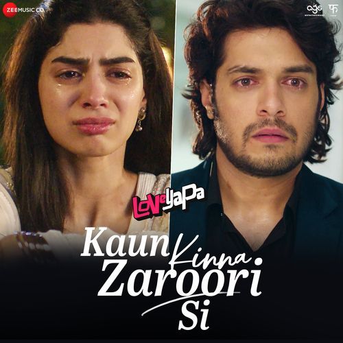 Kaun Kinna Zaroori Si (From "Loveyapa")