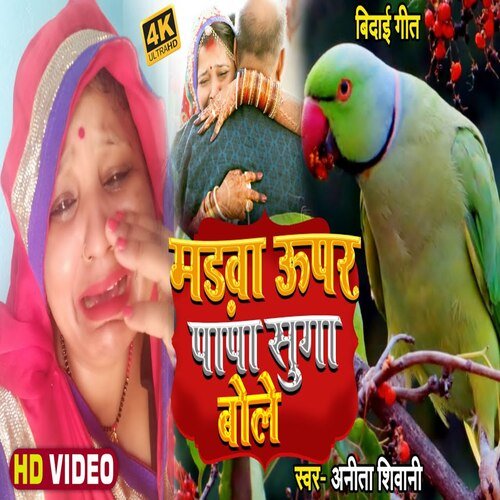 Madwa Upar papa Suga Bole