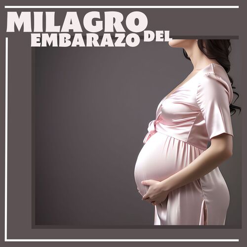 Embarazo Feliz cover art