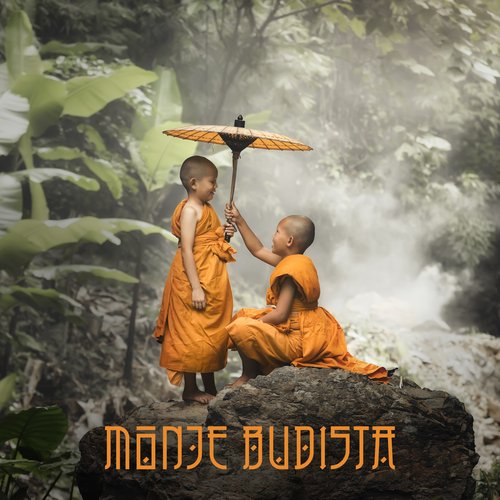 Monje Budista: Meditación para la Sabiduría, la Concentración y la Tranquilidad_poster_image