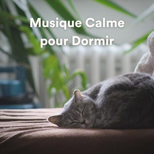 Musique Calme pour Dormir_poster_image