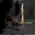 Naa Ve Dilaa