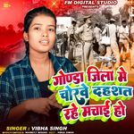 गोण्डा जिला में चोरवे दहशत रहे मचाई हो