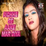 Pichhe Se Aake Mar Diya