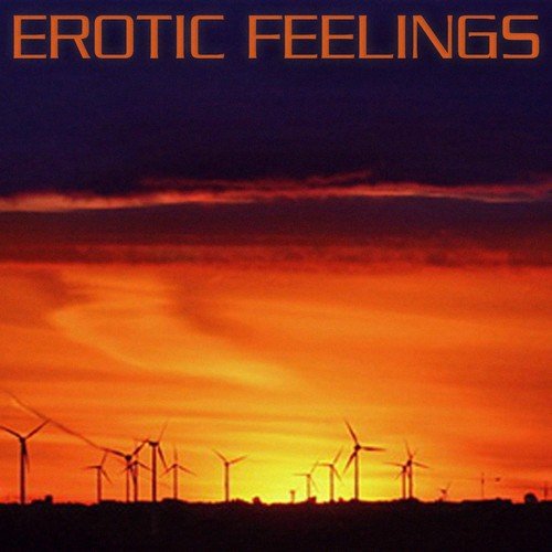 Private Chillout  Lounge (Erotic Feelings)