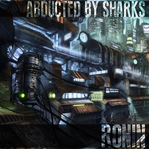 Ronin cover art