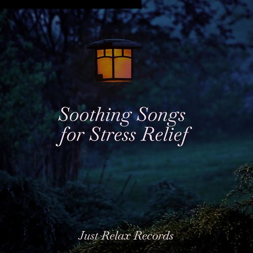 Soothing Songs for Stress Relief_poster_image