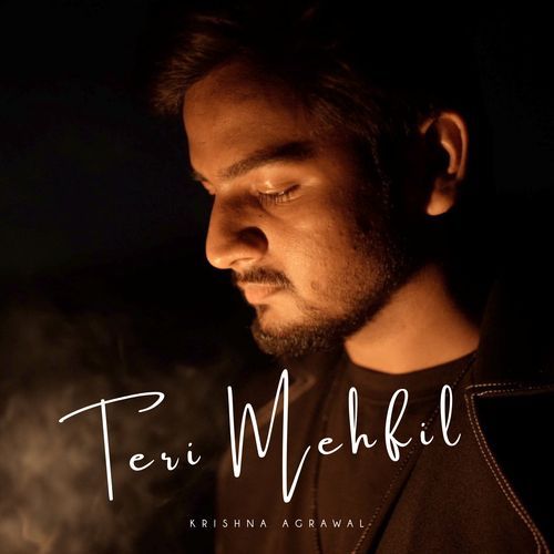 Teri Mehfil