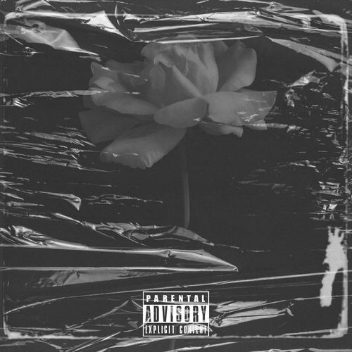 luca cover art
