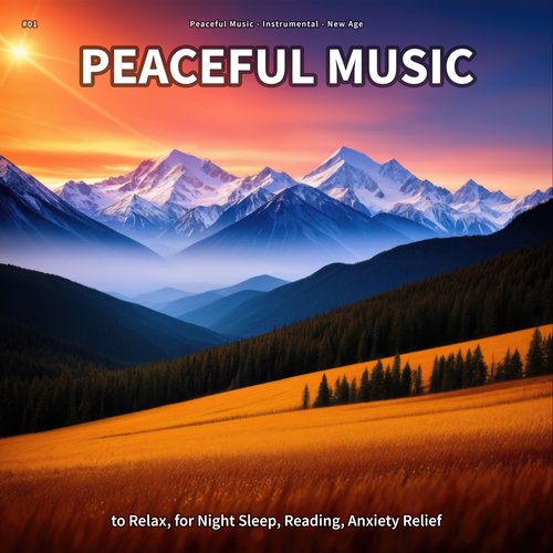 #01 Peaceful Music to Relax, for Night Sleep, Reading, Anxiety Relief_poster_image