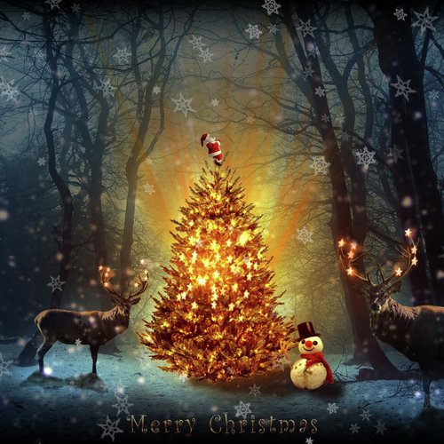 First Noel cover art