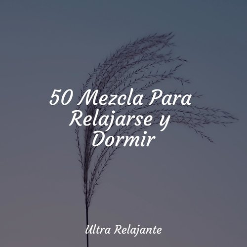 Viento Suave