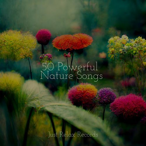 50 Powerful Nature Songs_poster_image