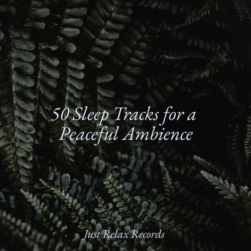 50 Sleep Tracks for a Peaceful Ambience