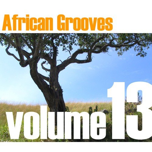 African Grooves Vol.13