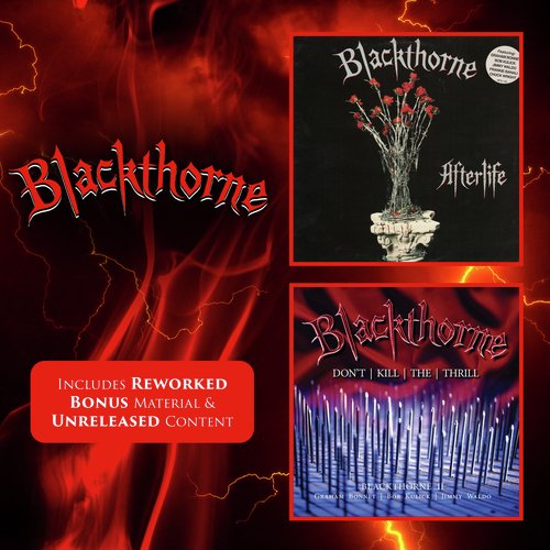 Afterlife Lyrics - Blackthorne - Only on JioSaavn