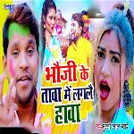 Bhauji Ke Tawa Me Lagle Hawa