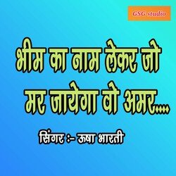 Bheem Ka Naam Lekar Jo mar jay ge (Hindi)-RRIJAT1lZHk