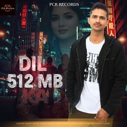 Dil 512 Mb Ka