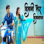 Diwani Tor Diwanapan