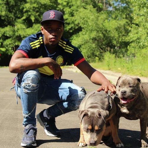 Dog On A Leash cover art