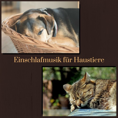 Einschlafmusik für Haustiere - 50 Entspannende Musiktherapie für Hunde und Katzen zum Schlafen