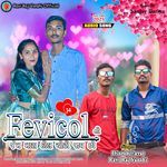 Fevicol Ni Jem Mara Dil Ma Choti Jav Cho