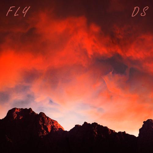 Fly Ds
