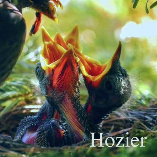Hozier cover art