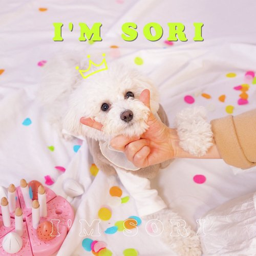 I&#039;m Sori_poster_image