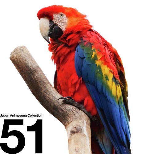 Kono Sora no Mukou (From ''Dokidoki! Precure'')