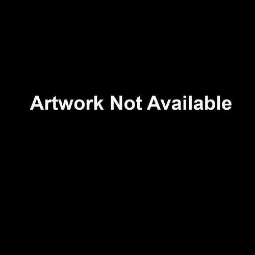 Hot Shot (karaoke-version) As Made Famous By: Barbara Tucker cover art