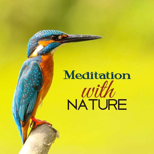 Sleep Sounds of Nature cover art