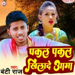 Pakal Pakal Khilade Aama