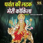 Parwat Ki Latak Meri Kokila