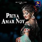 Priya Amar Noy