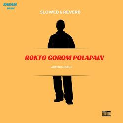 Rokto Gorom Polapain (Slowed &amp; Reverb)-JjgmW0R8ZmE