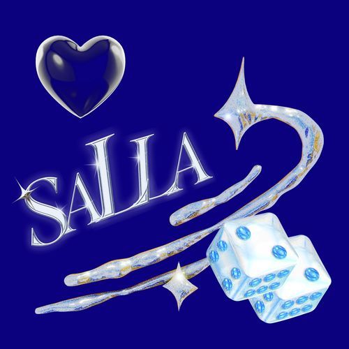 SALLA_poster_image