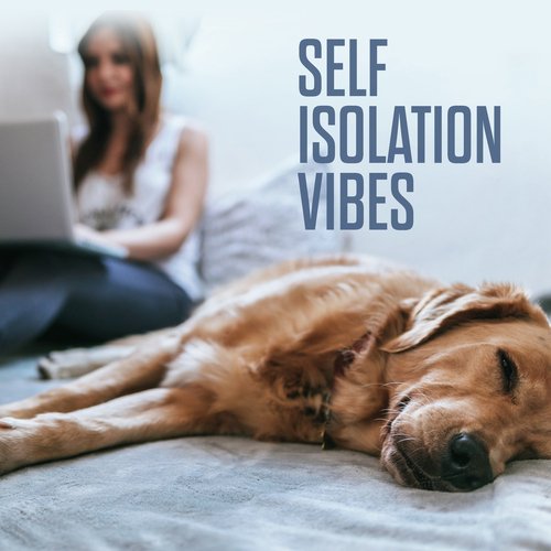 Self Isolation Vibes_poster_image