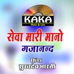 Seva Mari Mano Gajanand