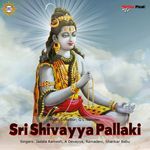 Sri Shivayya Pallaki