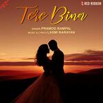 Tere Bina