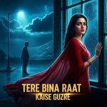 Tere Bina Raat Kaise Guzre
