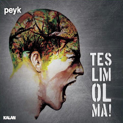 Bu Ben cover art