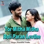 Tor Mitha Mitha Boli Paran Levthe
