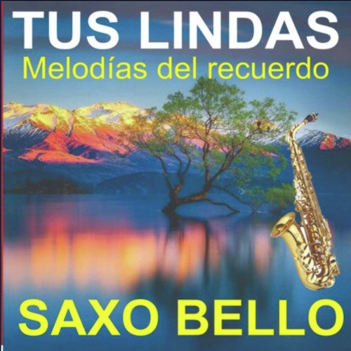 Por Eso Y Muchas Razones-palito Ortega cover art