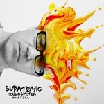 You're Real Cool (Dub Mix) [feat. Subatomic Sound System]