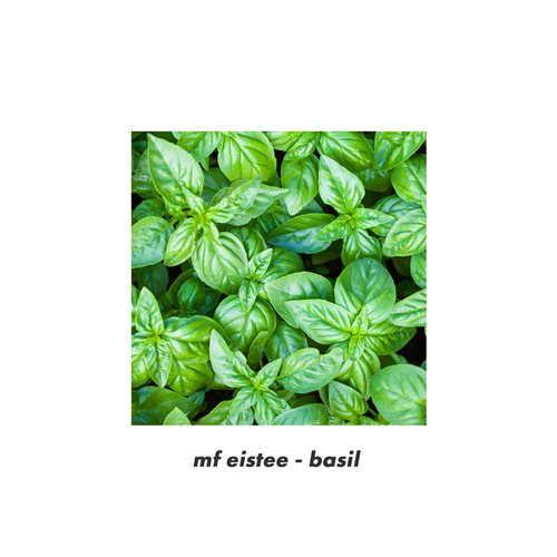 basil cover art