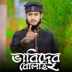 bhabi der dholai 2 artwork